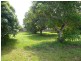 16 Alistair Court, Macleay Island QLD 4184