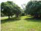 16 Alistair Court, Macleay Island QLD 4184