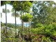 47 Halcyon Street, Lamb Island QLD 4184