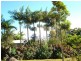 47 Halcyon Street, Lamb Island QLD 4184