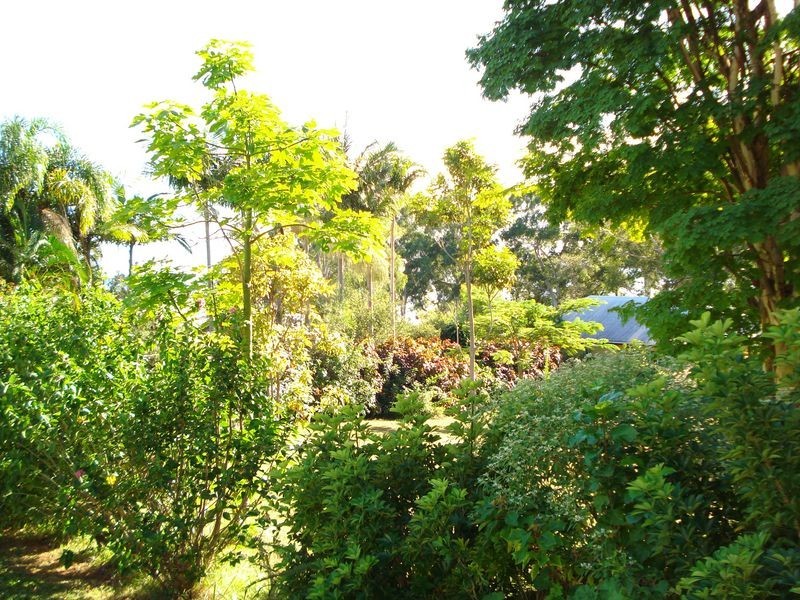 47 Halcyon Street, Lamb Island QLD 4184