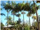 47 Halcyon Street, Lamb Island QLD 4184