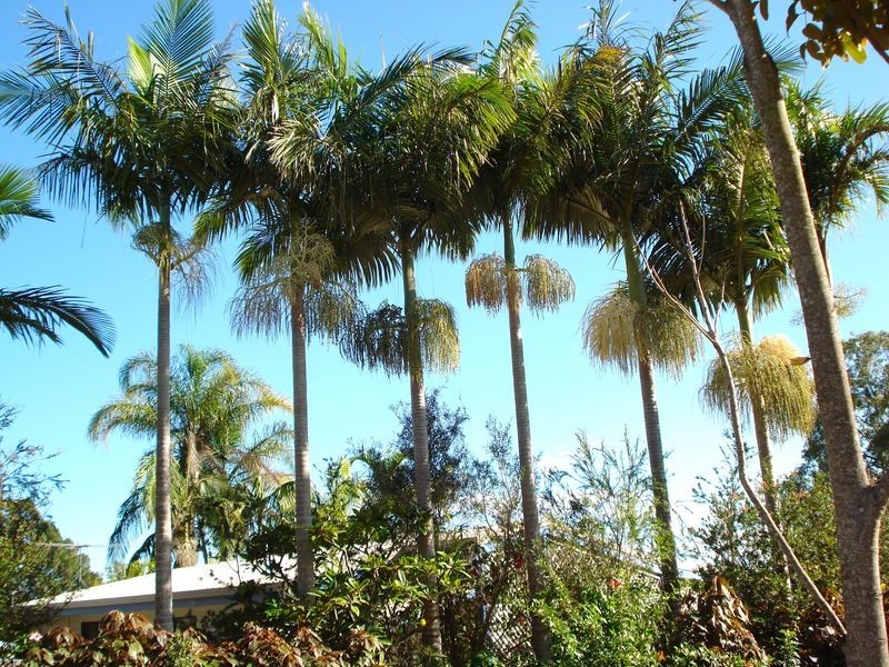 47 Halcyon Street, Lamb Island QLD 4184