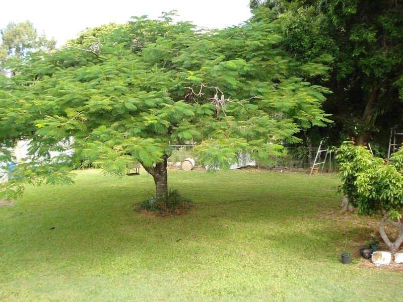 19 Pine Avenue, Lamb Island QLD 4184