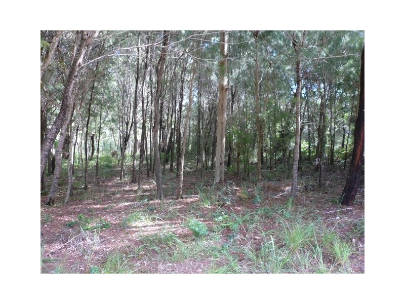 9 Kate Street, Macleay Island QLD 4184