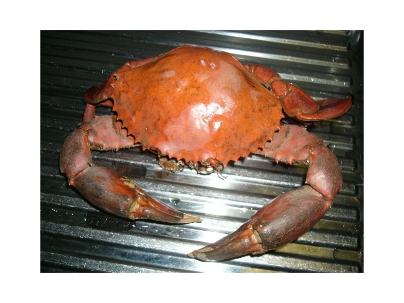 44 Calm Waters Crescent, Macleay Island QLD 4184