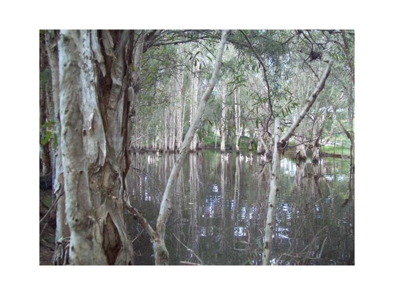 128 High Central Rd, Macleay Island QLD 4184