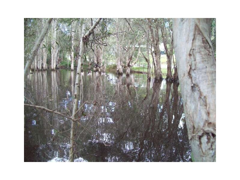 128 High Central Rd, Macleay Island QLD 4184