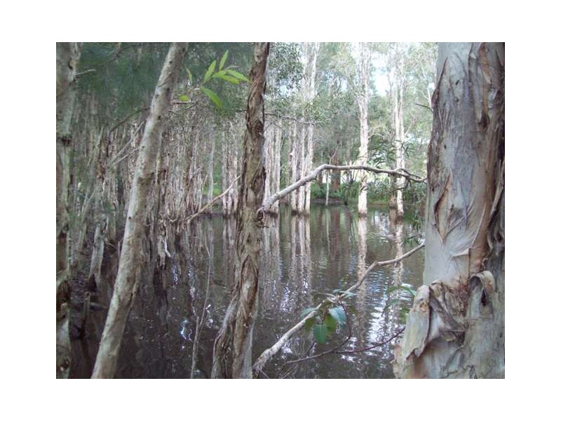 128 High Central Rd, Macleay Island QLD 4184