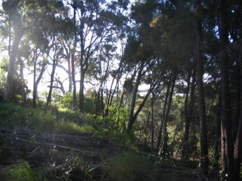 15 Beelong Street, Macleay Island QLD 4184