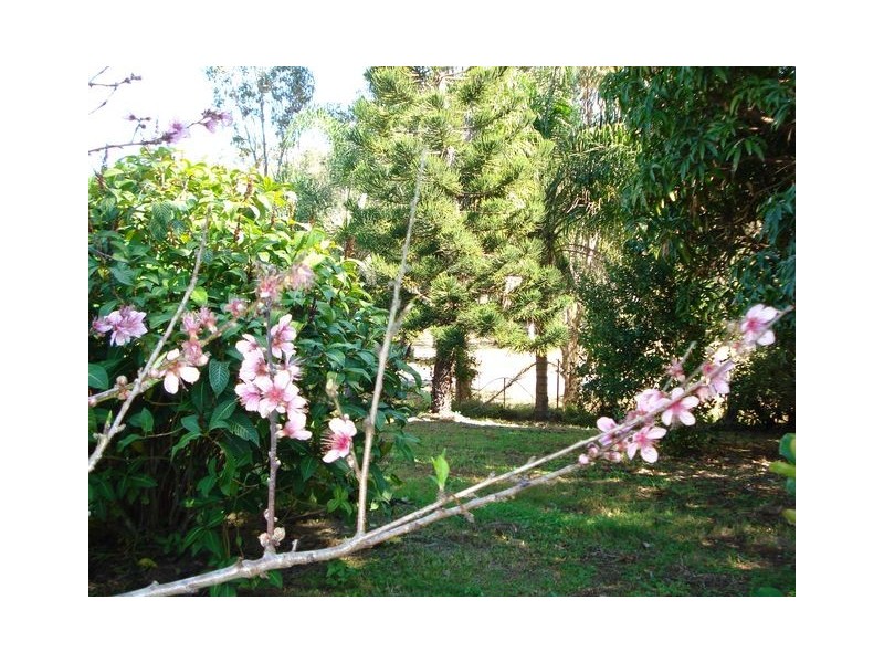 135-137  Lucas Drive, Lamb Island QLD 4184