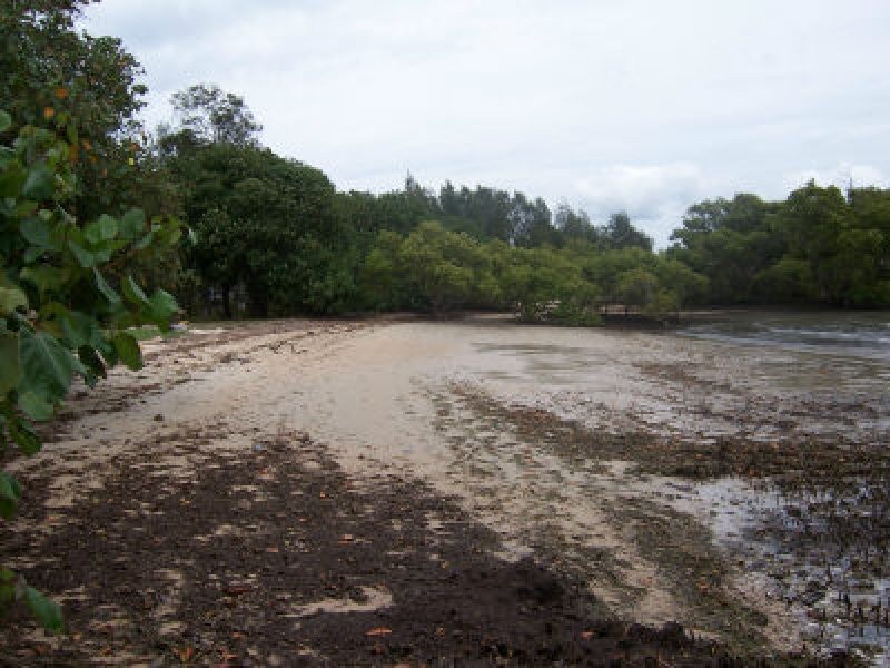 75 Coondooroopa Drive, Macleay Island QLD 4184