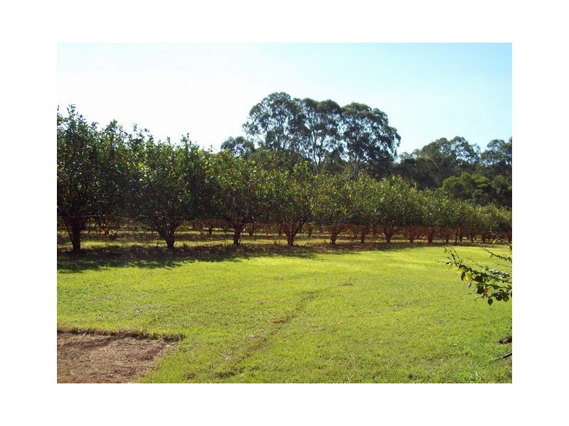 35 LONICERA, Macleay Island QLD 4184