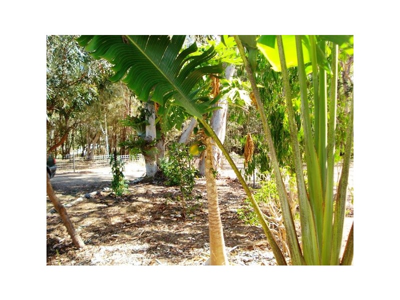 18 Devaney Street, Macleay Island QLD 4184