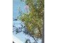 22 Jan Street, Macleay Island QLD 4184