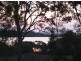 64 Charles Terrace, Macleay Island QLD 4184
