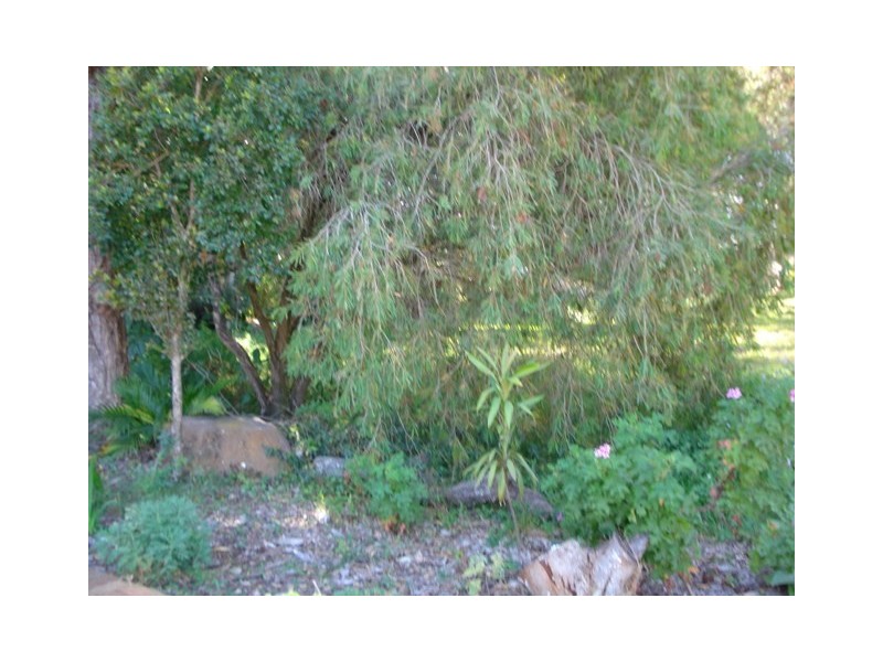 19 Eastbourne Terrace, Macleay Island QLD 4184