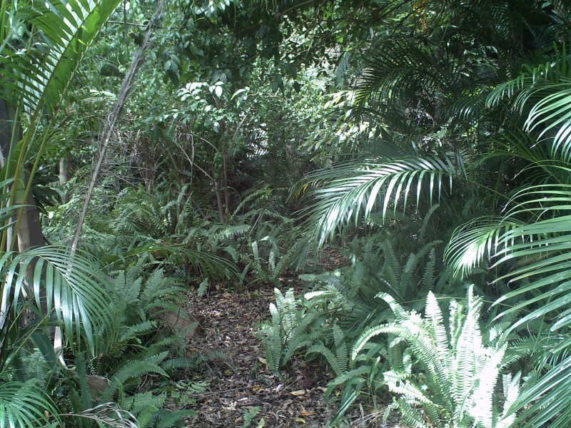 Macleay Island QLD 4184