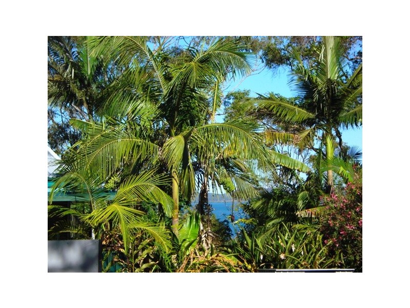 24 Jane Street, Macleay Island QLD 4184