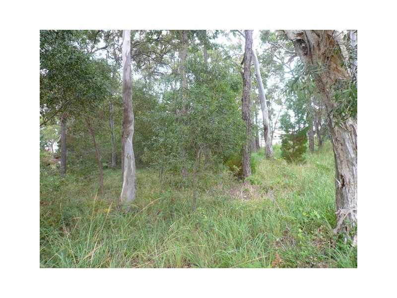 119 Kate Street, Macleay Island QLD 4184