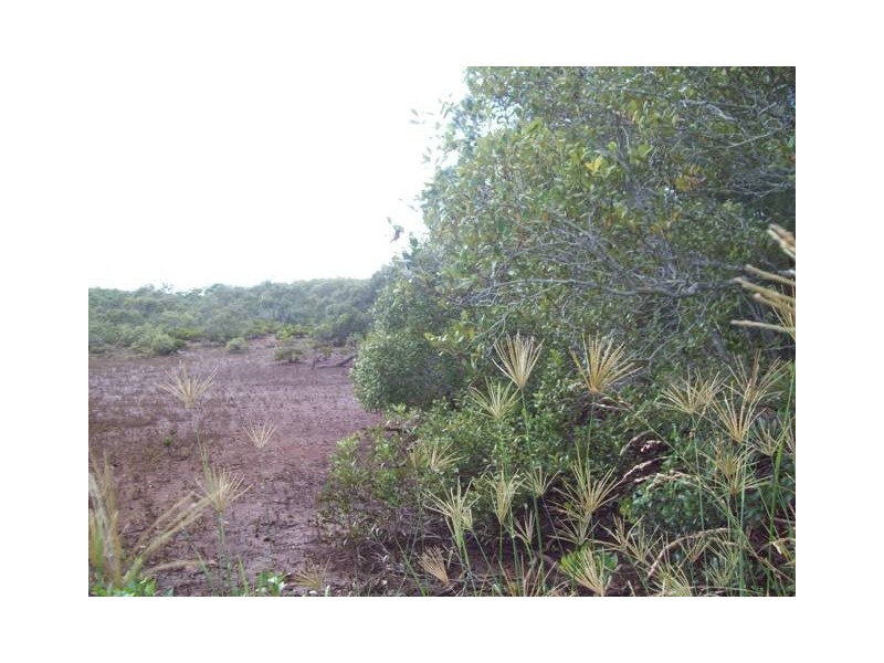 1 Causeway, Macleay Island QLD 4184