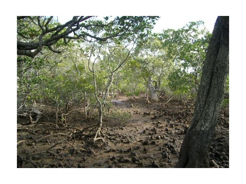 1 Causeway, Macleay Island QLD 4184