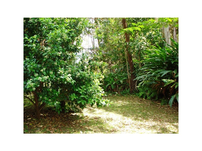 12-20  Pine Avenue, Lamb Island QLD 4184