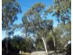 26 Leanne, Macleay Island QLD 4184