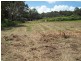 19 Coffea, Macleay Island QLD 4184