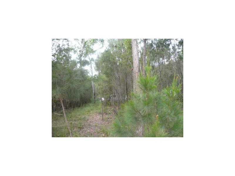 17 Jane Street, Macleay Island QLD 4184