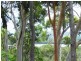 11 Alexander, Macleay Island QLD 4184
