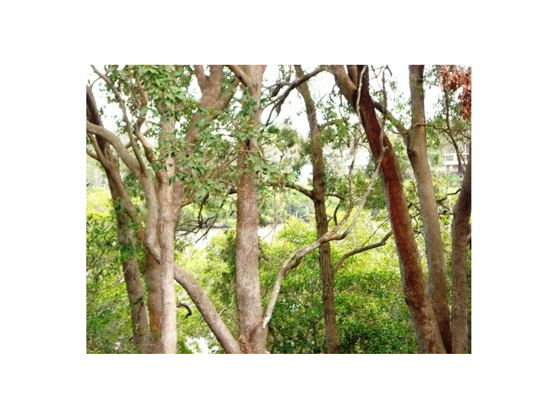 65 Pier Haven, Lamb Island QLD 4184