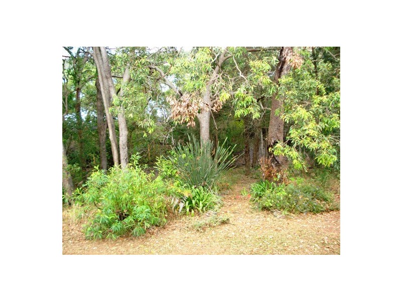 65 Pier Haven, Lamb Island QLD 4184