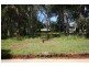 24  Cliff Terrace, Macleay Island QLD 4184
