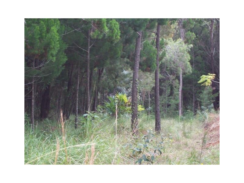 39 Eastbourne Terrace, Macleay Island QLD 4184