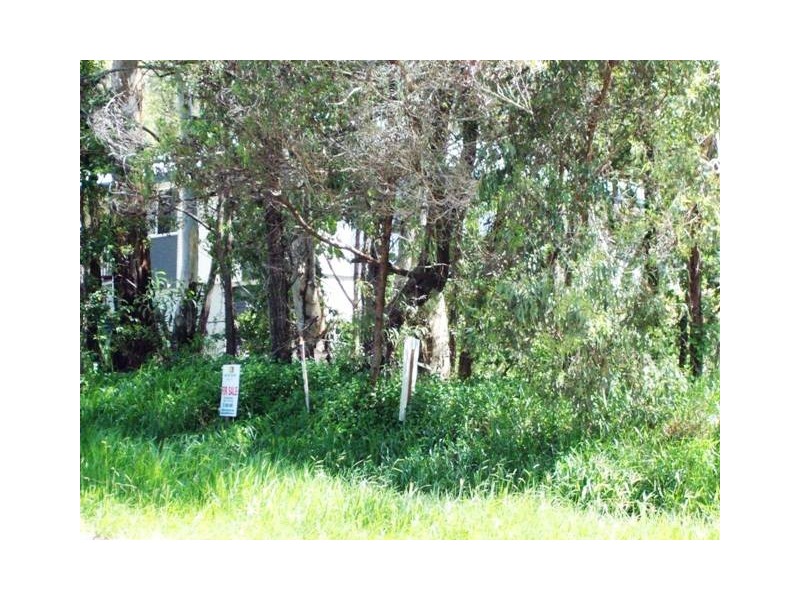 117 High Central Road, Macleay Island QLD 4184