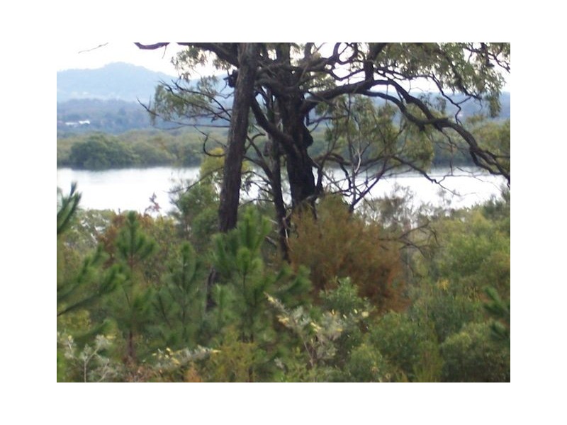 17 Brolga Street, Macleay Island QLD 4184