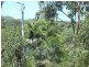 27 Ashton Street, Macleay Island QLD 4184