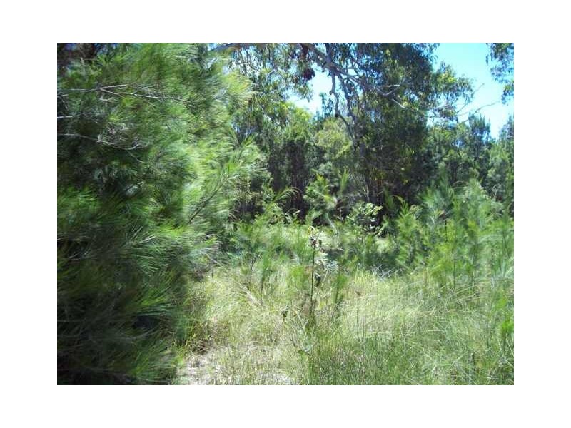 27 Ashton Street, Macleay Island QLD 4184