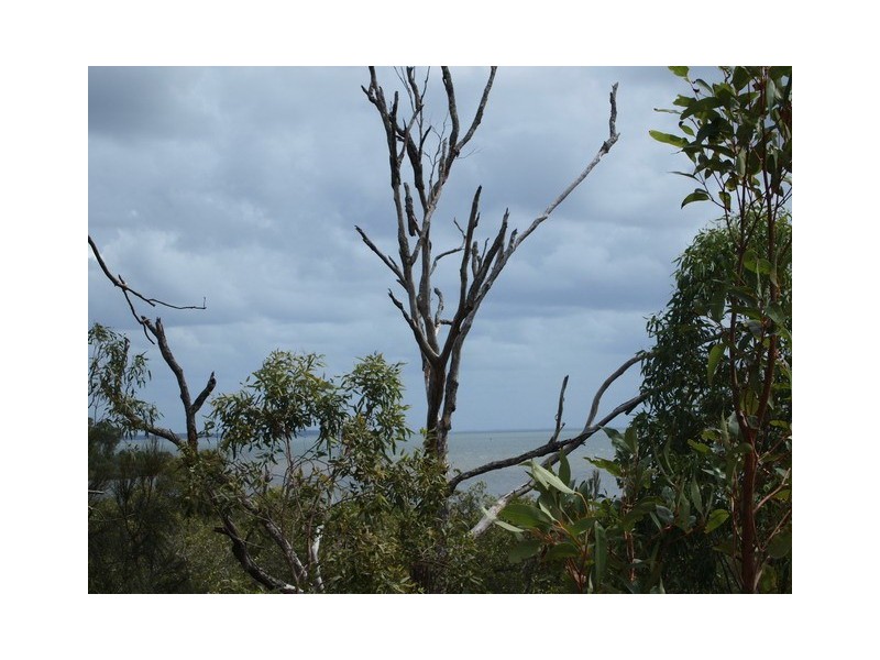 11 Beelong Street, Macleay Island QLD 4184