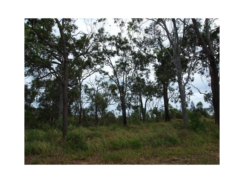 11 Beelong Street, Macleay Island QLD 4184