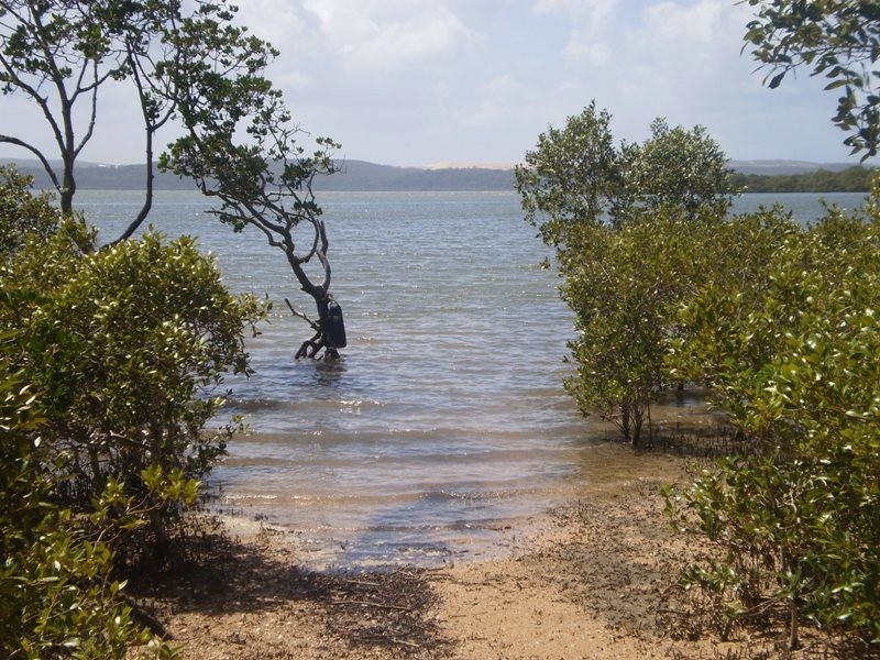 67 Beelong Street, Macleay Island QLD 4184