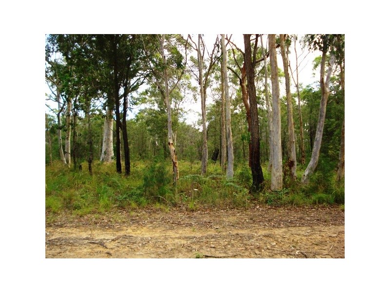 10 Wirralee Street, Macleay Island QLD 4184