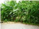 20 Devaney St, Macleay Island QLD 4184