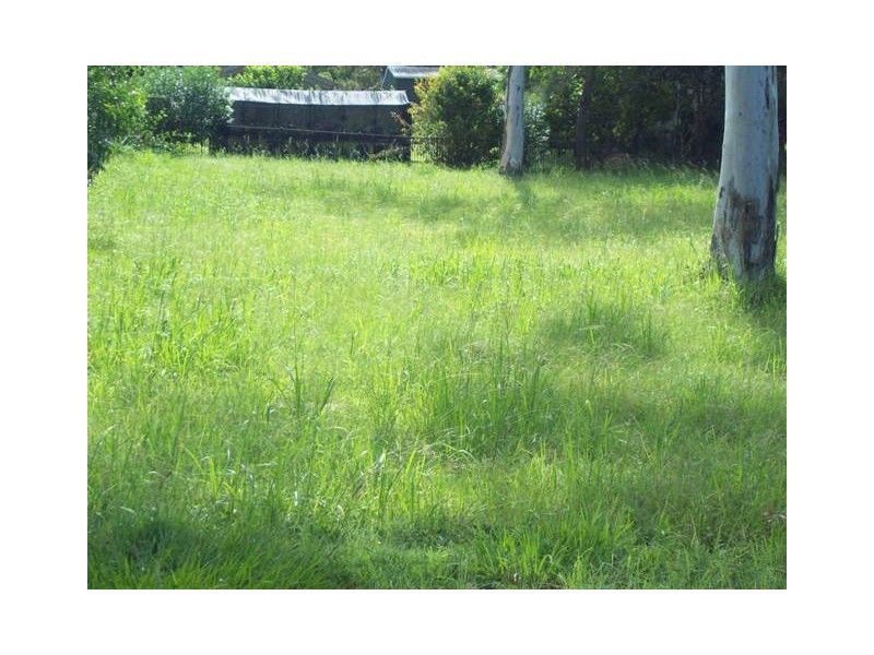50 Beelong Street, Macleay Island QLD 4184