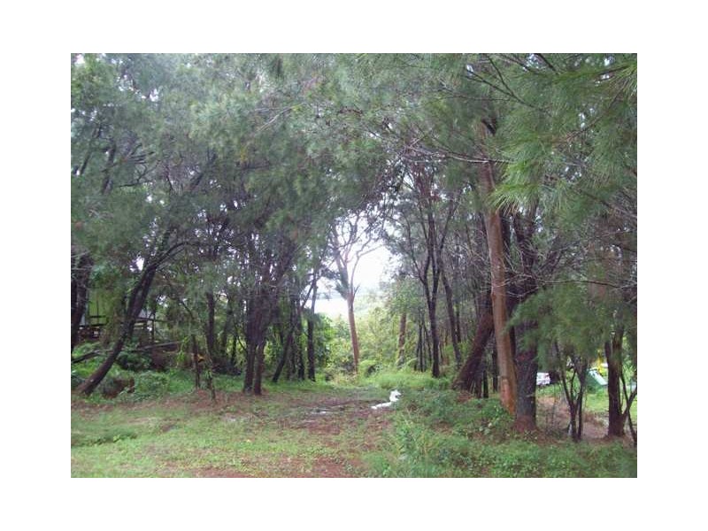 45 Timothy Street, Macleay Island QLD 4184