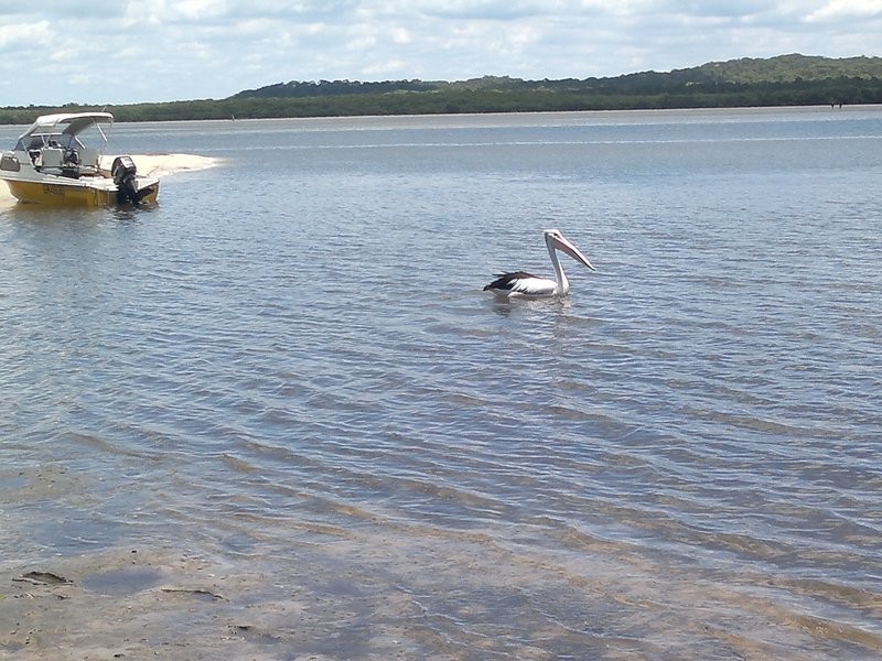 45 Timothy Street, Macleay Island QLD 4184