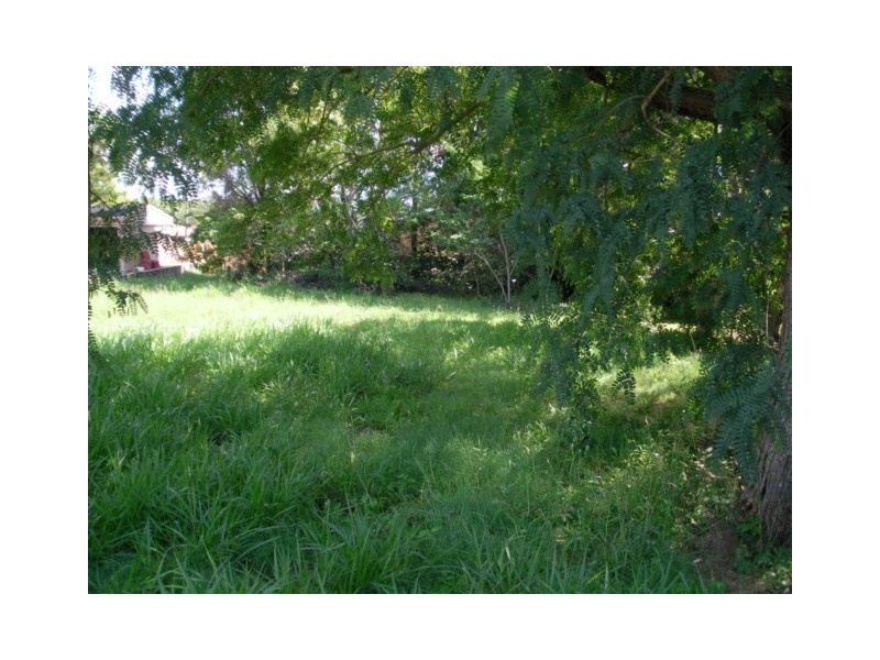 19 CURLEW ST, Macleay Island QLD 4184