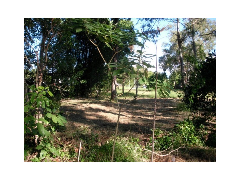 5 Walnut Ct, Macleay Island QLD 4184