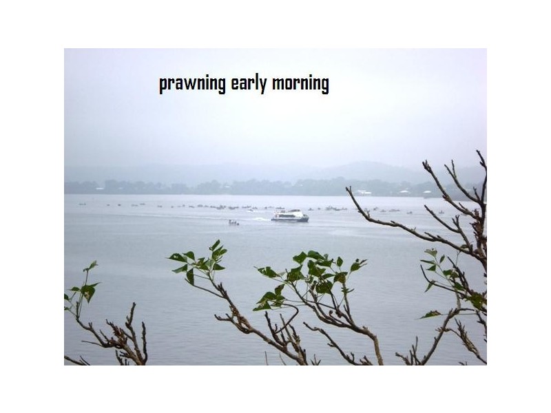 32 Tina Avenue, Lamb Island QLD 4184